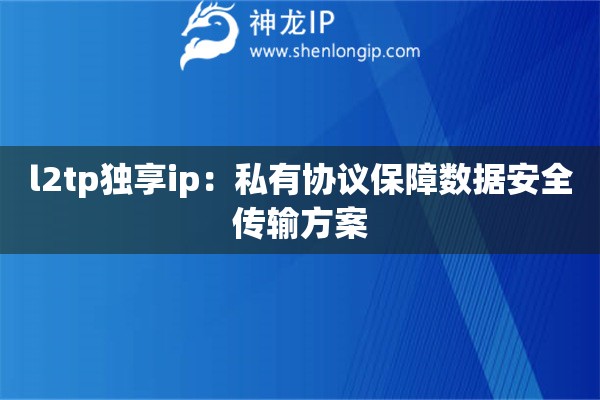 l2tp獨(dú)享ip：私有協(xié)議保障數(shù)據(jù)安全傳輸方案