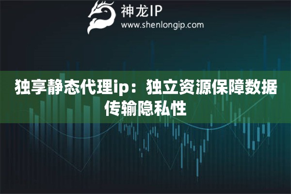 獨享靜態(tài)代理ip：獨立資源保障數(shù)據(jù)傳輸隱私性