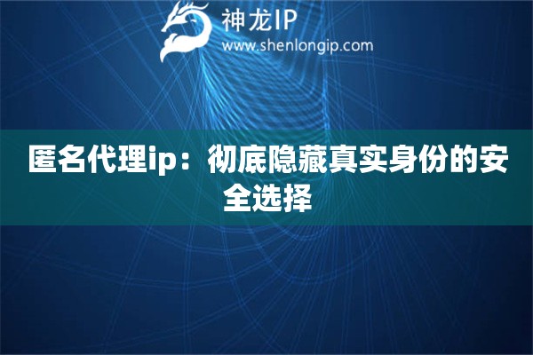 匿名代理ip：徹底隱藏真實身份的安全選擇