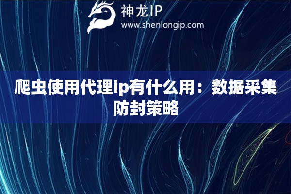 爬蟲使用代理ip有什么用：數(shù)據(jù)采集防封策略