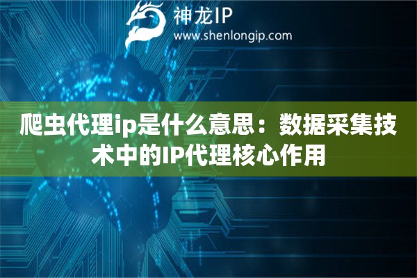爬蟲代理ip是什么意思：數據采集技術中的IP代理核心作用