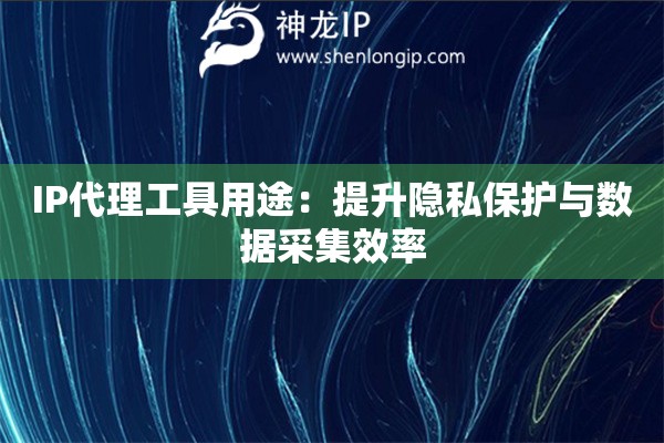 IP代理工具用途：提升隱私保護(hù)與數(shù)據(jù)采集效率