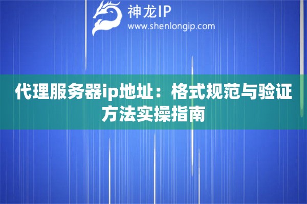 代理服務(wù)器ip地址：格式規(guī)范與驗證方法實操指南