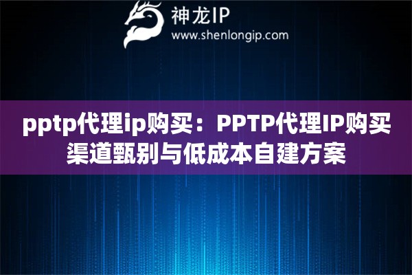 pptp代理ip購買：PPTP代理IP購買渠道甄別與低成本自建方案