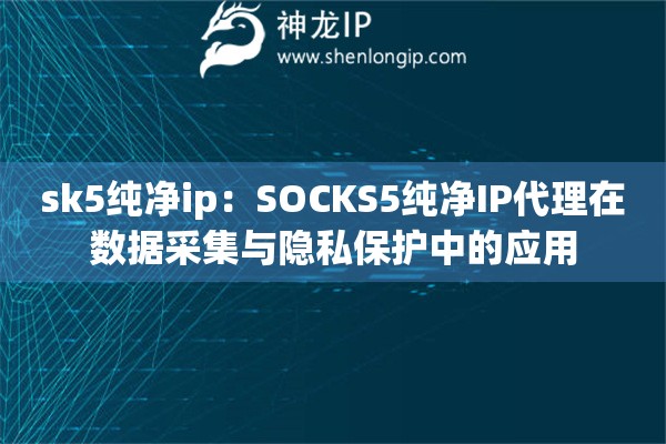 sk5純凈ip：SOCKS5純凈IP代理在數(shù)據(jù)采集與隱私保護中的應用