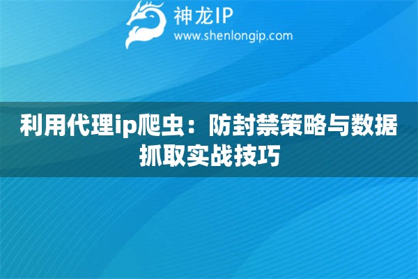 利用代理ip爬蟲：防封禁策略與數(shù)據(jù)抓取實戰(zhàn)技巧