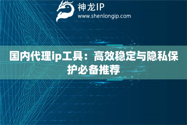 國內(nèi)代理ip工具：高效穩(wěn)定與隱私保護必備推薦