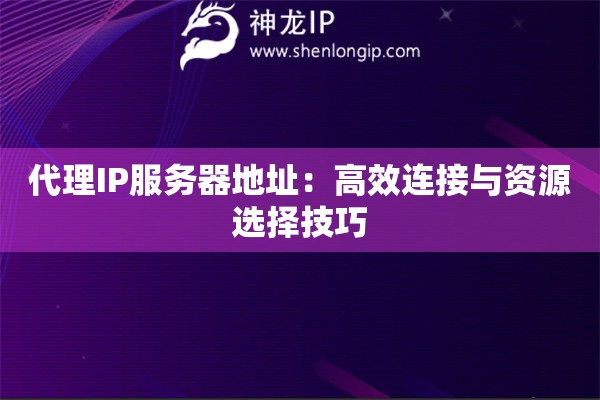 代理IP服務(wù)器地址：高效連接與資源選擇技巧