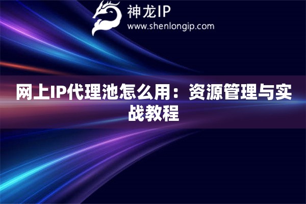 網(wǎng)上IP代理池怎么用：資源管理與實戰(zhàn)教程
