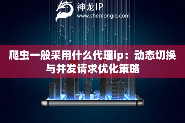 爬蟲(chóng)一般采用什么代理ip：動(dòng)態(tài)切換與并發(fā)請(qǐng)求優(yōu)化策略