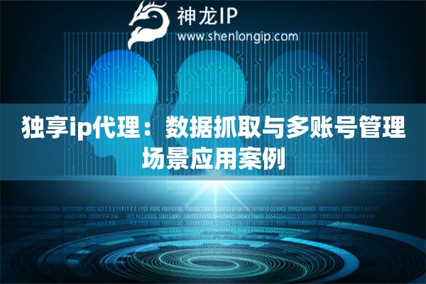 獨(dú)享ip代理：數(shù)據(jù)抓取與多賬號(hào)管理場(chǎng)景應(yīng)用案例