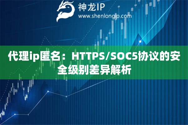 代理ip匿名：HTTPS/SOC5協(xié)議的安全級(jí)別差異解析