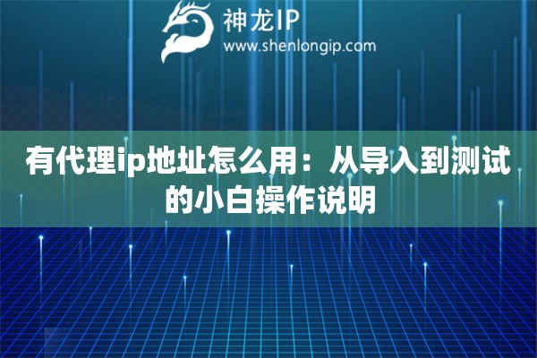 有代理ip地址怎么用：從導(dǎo)入到測試的小白操作說明