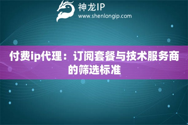 付費ip代理：訂閱套餐與技術(shù)服務(wù)商的篩選標(biāo)準(zhǔn)