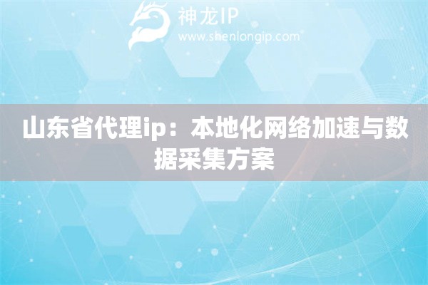 山東省代理ip：本地化網絡加速與數(shù)據采集方案