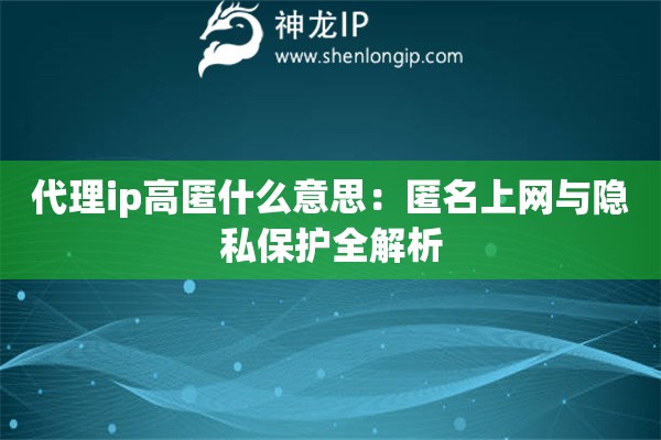代理ip高匿什么意思：匿名上網與隱私保護全解析