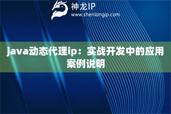 java動態(tài)代理ip：實(shí)戰(zhàn)開發(fā)中的應(yīng)用案例說明