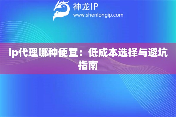 ip代理哪種便宜：低成本選擇與避坑指南
