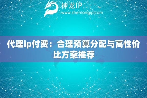 代理ip付費：合理預算分配與高性價比方案推薦