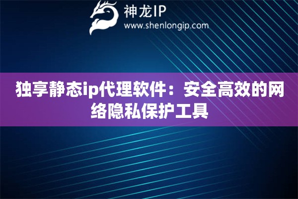 獨(dú)享靜態(tài)ip代理軟件：安全高效的網(wǎng)絡(luò)隱私保護(hù)工具
