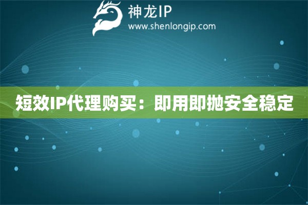 短效IP代理購買：即用即拋安全穩(wěn)定