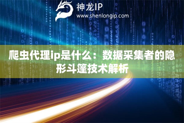 爬蟲代理ip是什么：數(shù)據(jù)采集者的隱形斗篷技術(shù)解析