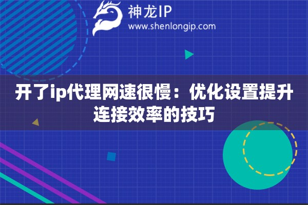 開了ip代理網(wǎng)速很慢：優(yōu)化設置提升連接效率的技巧