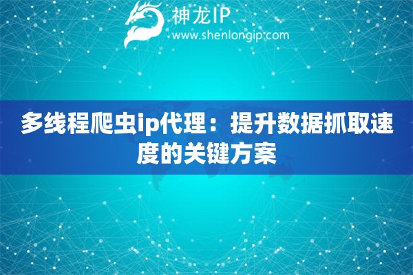 多線程爬蟲ip代理：提升數(shù)據(jù)抓取速度的關鍵方案