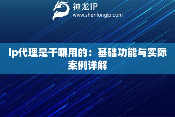 ip代理是干嘛用的：基礎(chǔ)功能與實際案例詳解