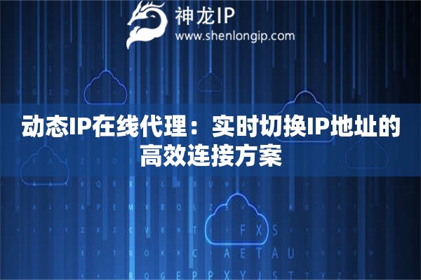 動態(tài)IP在線代理：實時切換IP地址的高效連接方案