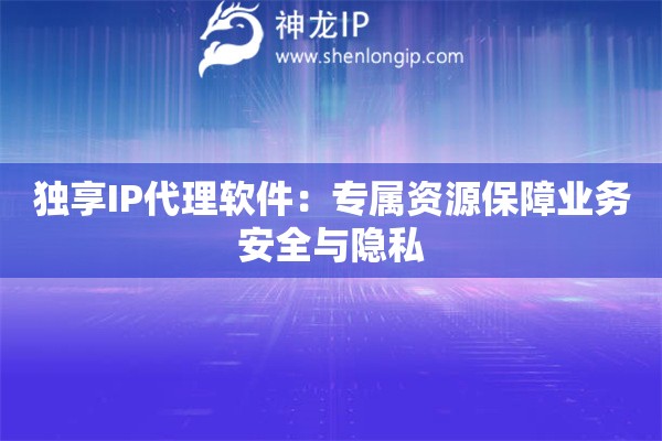 獨(dú)享IP代理軟件：專屬資源保障業(yè)務(wù)安全與隱私