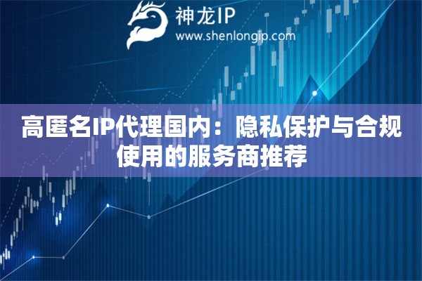 高匿名IP代理國(guó)內(nèi)：隱私保護(hù)與合規(guī)使用的服務(wù)商推薦