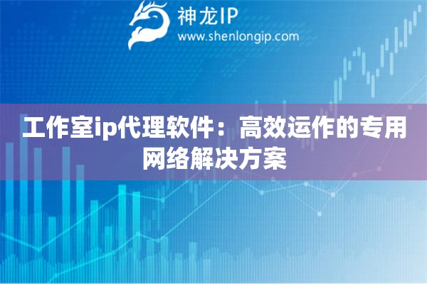 工作室ip代理軟件：高效運(yùn)作的專用網(wǎng)絡(luò)解決方案