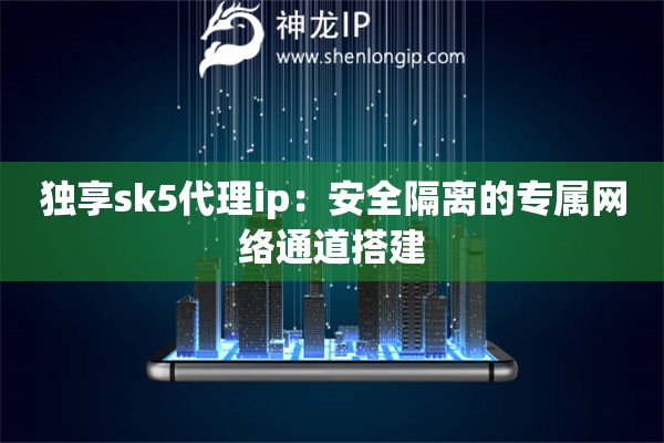 獨(dú)享sk5代理ip：安全隔離的專屬網(wǎng)絡(luò)通道搭建