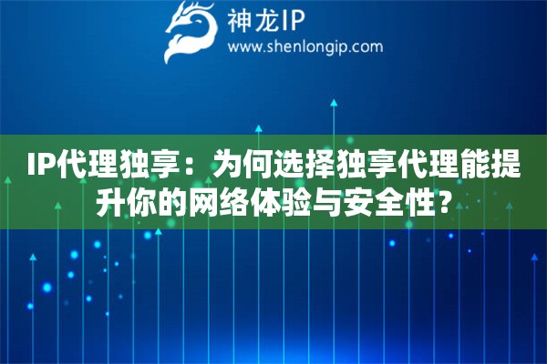 IP代理獨(dú)享：為何選擇獨(dú)享代理能提升你的網(wǎng)絡(luò)體驗(yàn)與安全性？