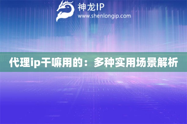 代理ip干嘛用的：多種實用場景解析