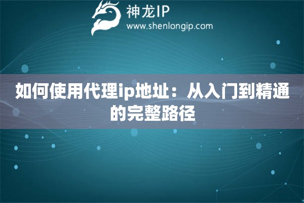 如何使用代理ip地址：從入門到精通的完整路徑