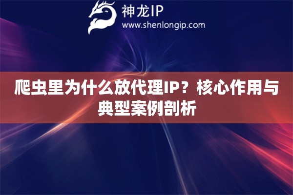 爬蟲里為什么放代理IP？核心作用與典型案例剖析