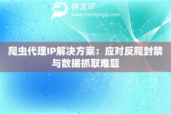 爬蟲代理IP解決方案：應(yīng)對反爬封禁與數(shù)據(jù)抓取難題