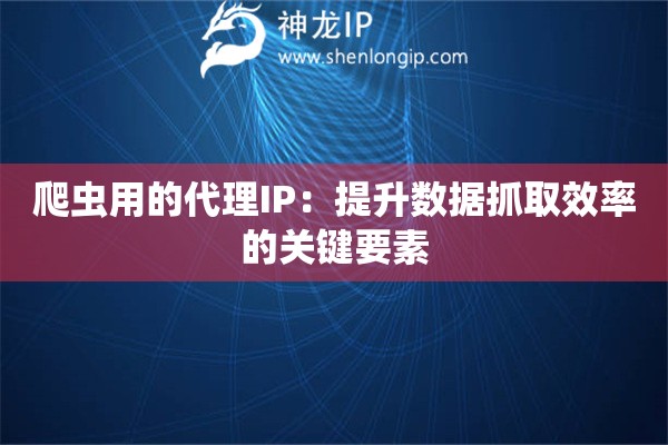 爬蟲(chóng)用的代理IP：提升數(shù)據(jù)抓取效率的關(guān)鍵要素