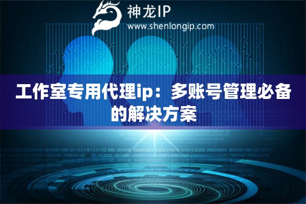 工作室專用代理ip：多賬號(hào)管理必備的解決方案