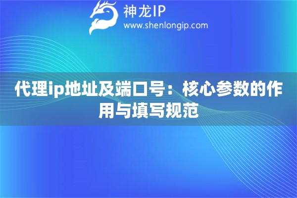代理ip地址及端口號：核心參數(shù)的作用與填寫規(guī)范