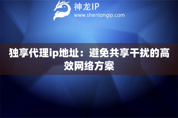 獨享代理ip地址：避免共享干擾的高效網(wǎng)絡(luò)方案