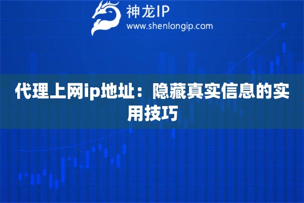 代理上網(wǎng)ip地址：隱藏真實(shí)信息的實(shí)用技巧