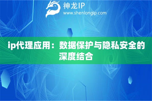 ip代理應(yīng)用：數(shù)據(jù)保護(hù)與隱私安全的深度結(jié)合