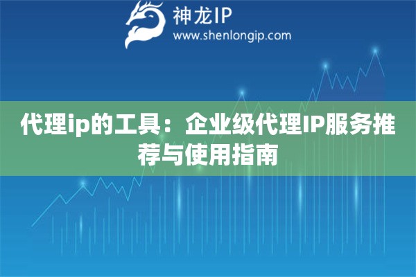 代理ip的工具：企業(yè)級代理IP服務(wù)推薦與使用指南