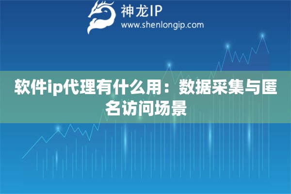 軟件ip代理有什么用：數(shù)據(jù)采集與匿名訪問場景