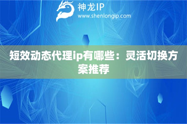 短效動(dòng)態(tài)代理ip有哪些：靈活切換方案推薦
