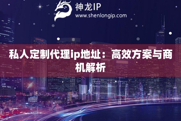 私人定制代理ip地址：高效方案與商機解析
