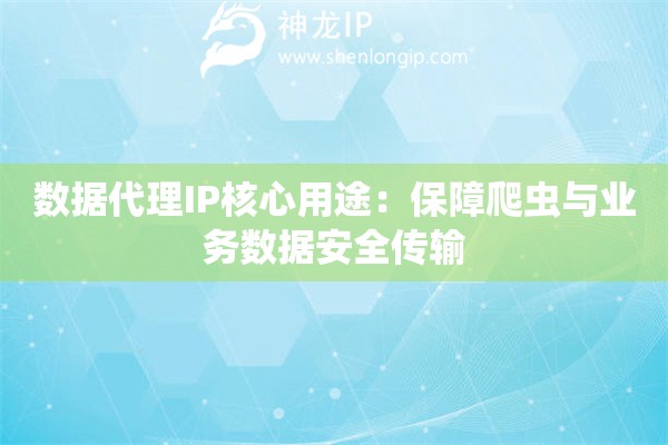 數(shù)據(jù)代理IP核心用途：保障爬蟲與業(yè)務(wù)數(shù)據(jù)安全傳輸